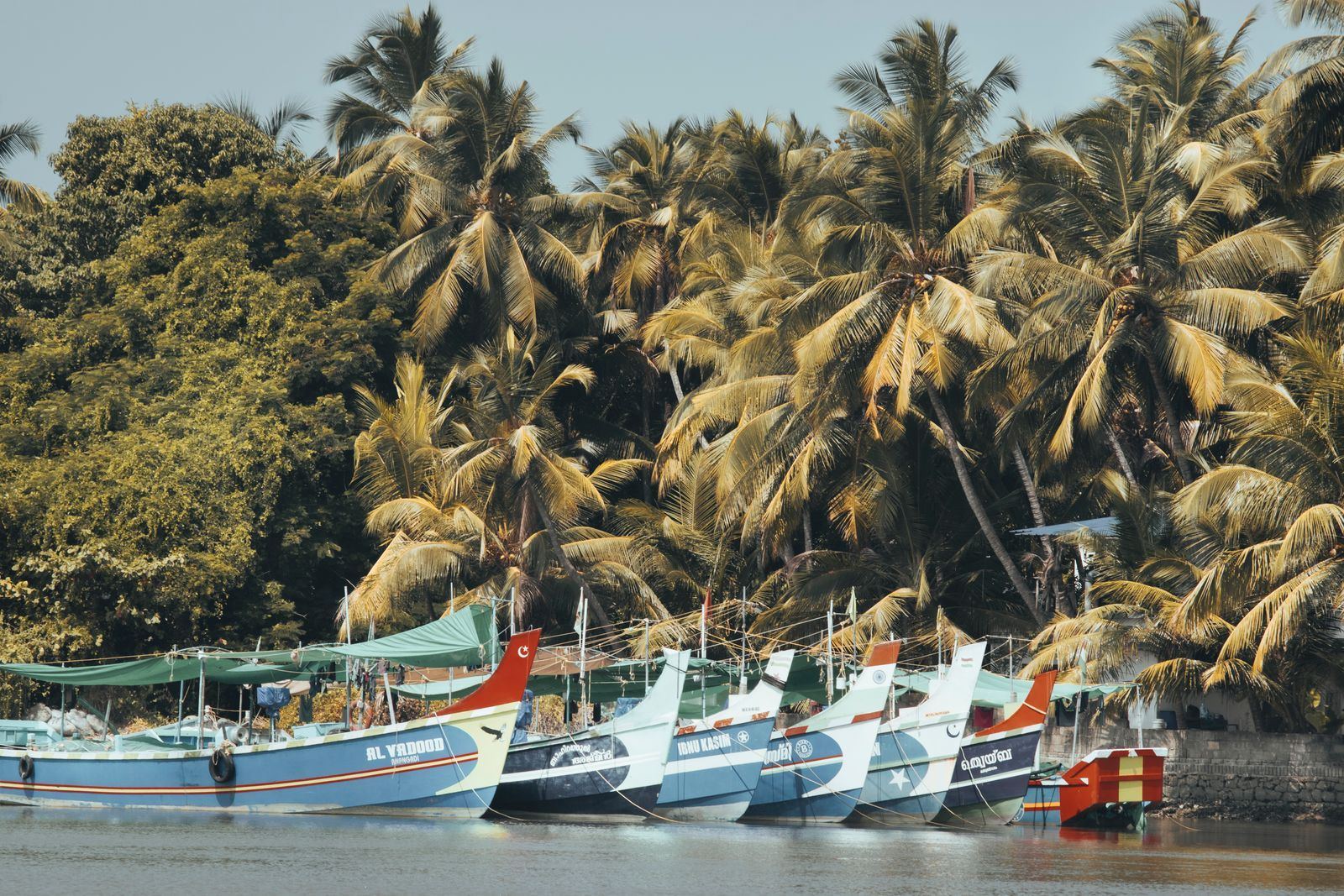 Fishing boats moored under coconut palms on the Kerala coast