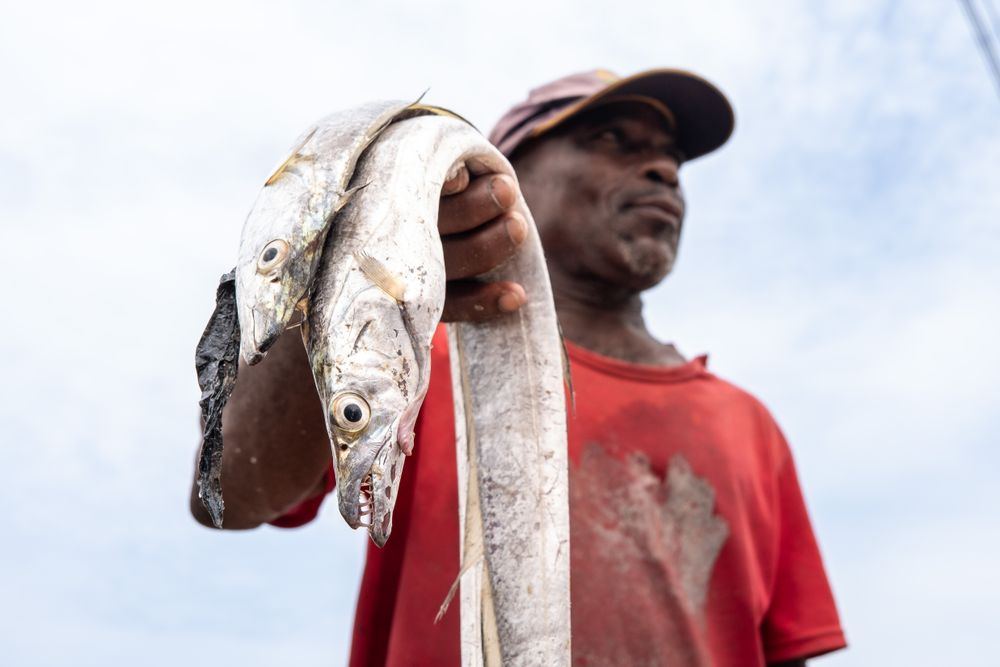 A fisherman holding fresh ribbon fish