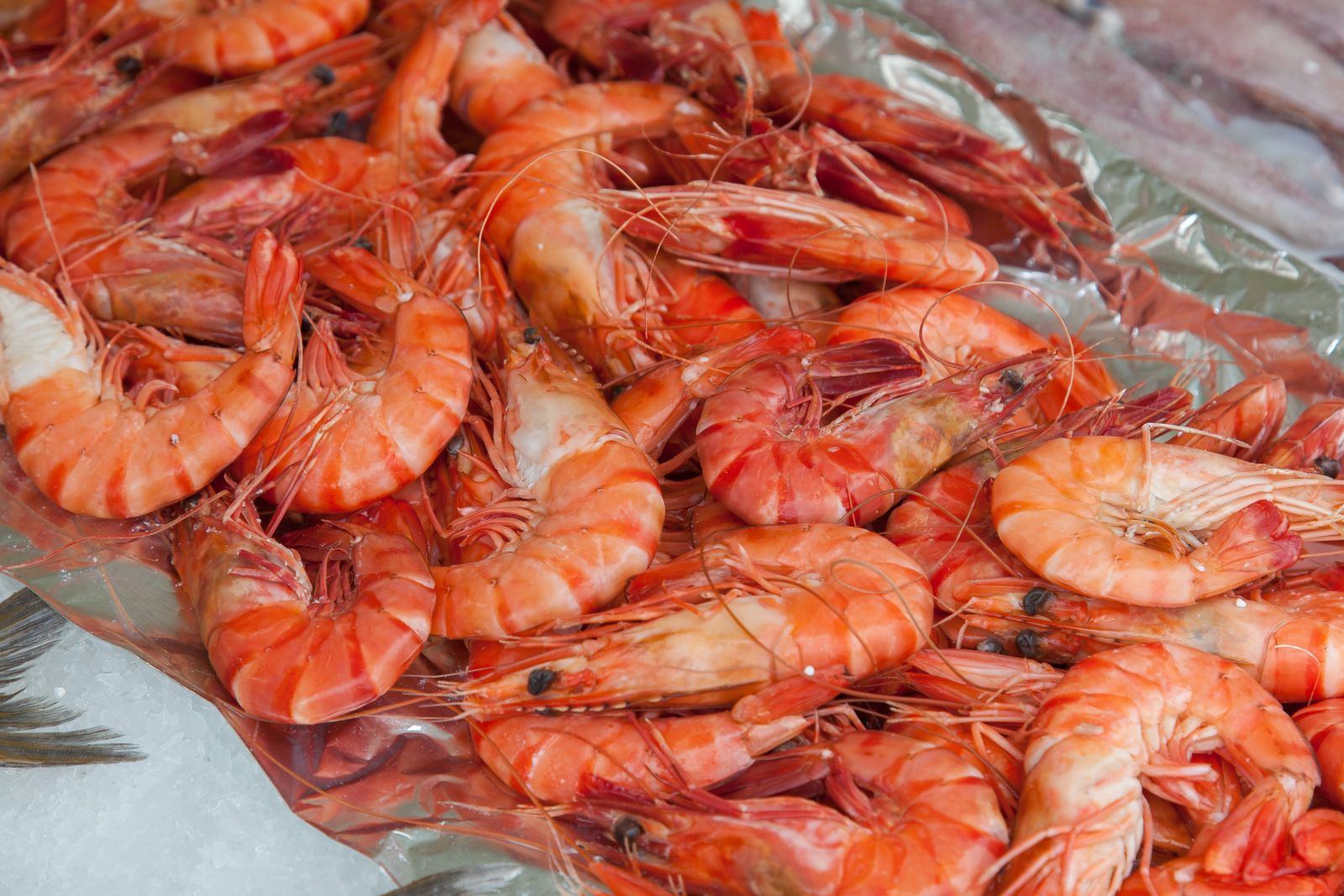 Fresh raw prawns on ice